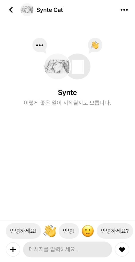 핀터레스트 저작권자와의 메시지 화면